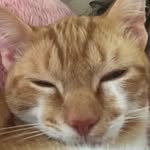 Janet Hedges-parker - @hedgesparker - Instagram