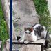 Janet Heil - Facebook