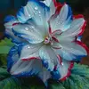 Janet Hensley Zap - @janet.hensley.zap - TikTok