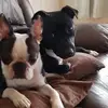 Janet Little-hensley - @janet.littlehensl - TikTok