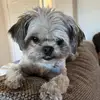 janethensley10 - @sugarbear5976 - TikTok