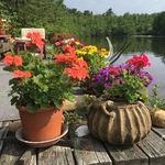 Janet Hermann - @janermann - Instagram