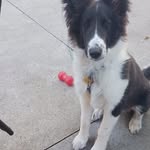 Janet Hermes - @janethermes61 - Instagram