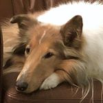 Janet Herron - @herron222school - Instagram