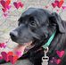 Janet Herzer - Facebook