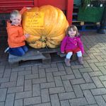 @janet.hitchen001 - Instagram