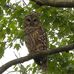 Janet Honaker - Facebook