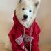 Janet Chu-Hooker - Facebook