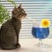 Janet Hooker - Facebook
