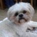 Janet Hooker - Facebook