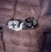 Janet Hott - Facebook