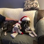 Jane Howerton - @23_jhowerton - Instagram