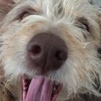 Janet Huckaby Oliver - Facebook