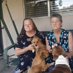 Janet Huggins - @janet.huggins.752 - Instagram