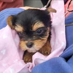 Janet Huggins - @huggins_janet - Instagram