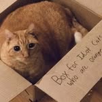 Janet Huggins - @shogjolke - Instagram