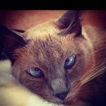 Kita baby... - @janethuggins - Instagram
