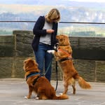Jane Huntley - @janehuntley_photography - Instagram