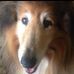 Janet Haskey - Facebook