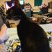 Janet Hussey - Facebook