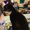 Janet Hussey - @janet.hussey - TikTok