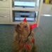 Janet Hussey - Facebook