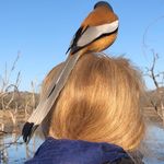 Thewomenstraveltribe - @janet.jaffe.7 - Instagram