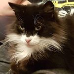 Janet Conlon Jarrett - @conlonjanet - Instagram