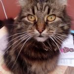 Janet MacDonald Jarrett - @jarrettmacdonaldjanet - Instagram
