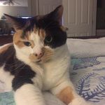 Janet Jeffers - @janandbutch - Instagram