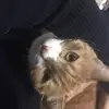 Janet joiner - @janet.joiner2 - TikTok