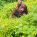 Joined Sankwa - Facebook