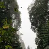 janetkato885 - @janetkato885 - TikTok