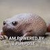 Janet Keefe - Facebook