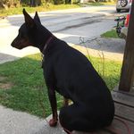 Janet Keefe - @keefejanet - Instagram