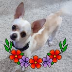 Janet Keefer - Facebook