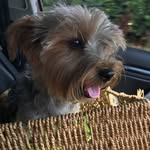 Janet Keen - @janet.keen.1675 - Instagram