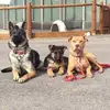 janetkeen446 - @janetkeen446 - TikTok