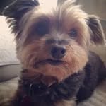 Janet Johnson Kellam - @janetkellam - Instagram