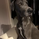 Janet Kellam - @luvador - Instagram