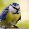 janettekellam974033 - @janettekellam974033 - TikTok