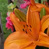 janetkelland558 - @janetkelland558 - TikTok