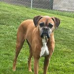 Janet Kellerman - @ridethewind450 - Instagram