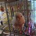 Janet Kempf-Hessling - Facebook