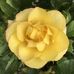 Janet Kerns - Facebook
