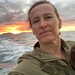 Jane De Keyser - @janedekeyser - Instagram