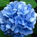 Janet Kirkman - @janet.kirkman.90 - Instagram