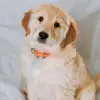Jane Kite - @jane.kite7 - TikTok