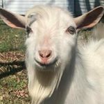 Janet Gail Kite - @janet.g.kite - Instagram