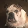 Janet Jkoehler - @janetjkoehlerk - TikTok